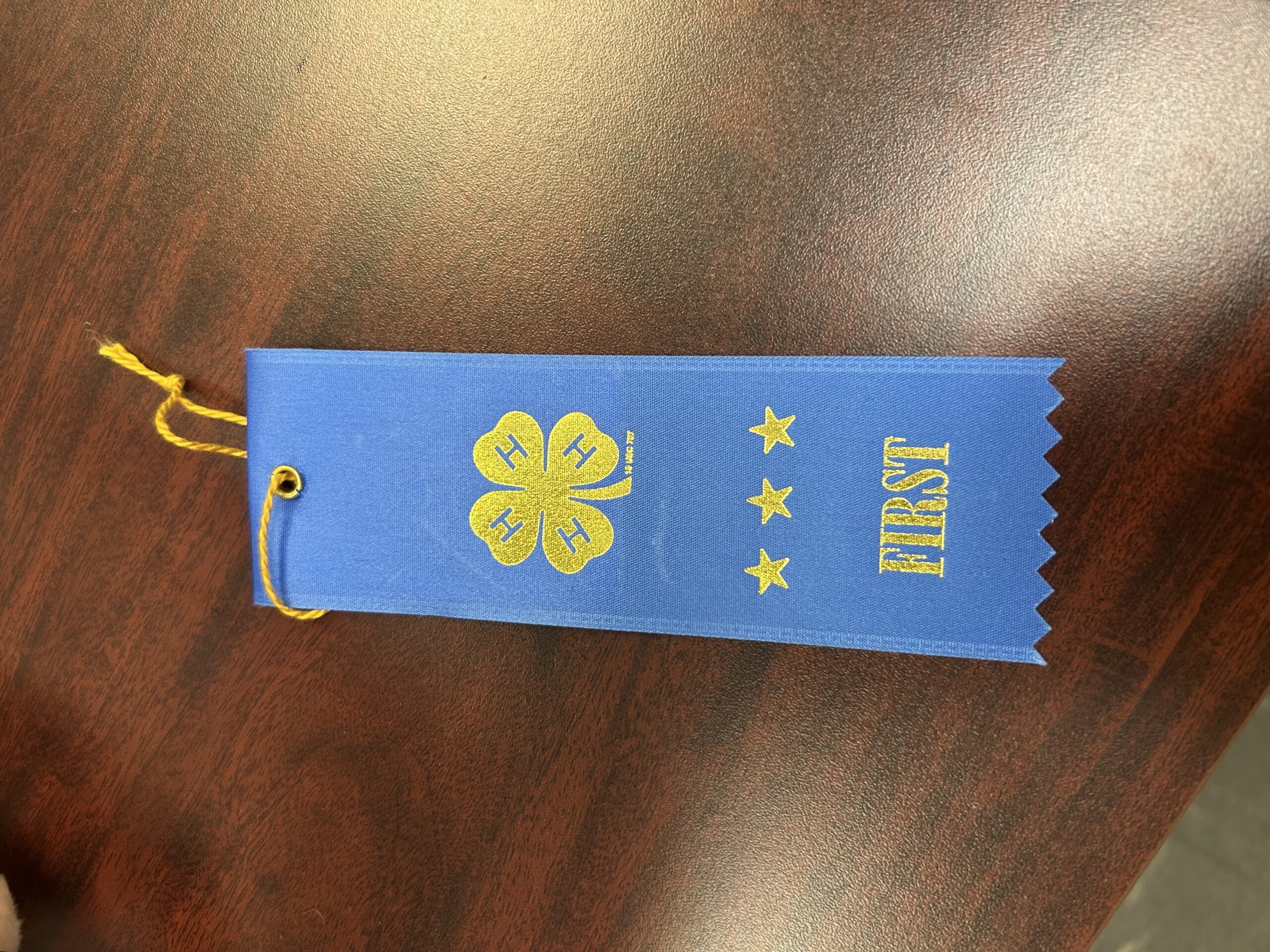 Student in County Prep High School's Green Club Wins 1st Pla