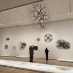 MoMA Field Trip: Learning Through Observation & Analysis