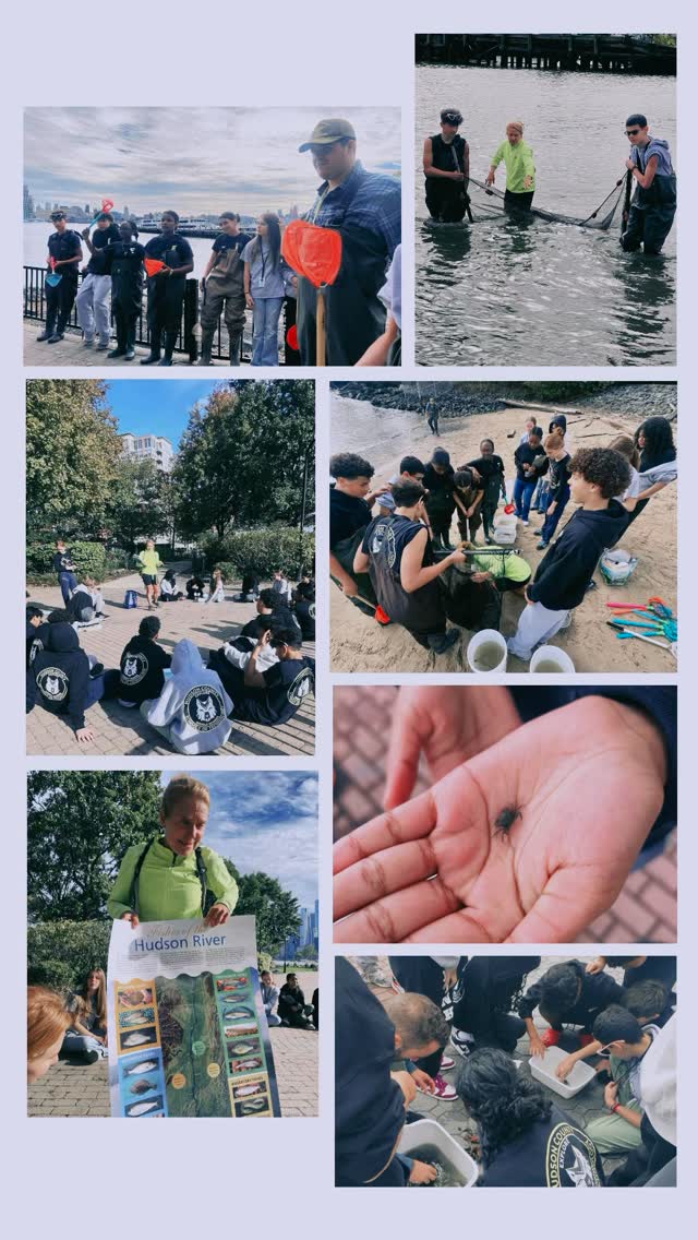 Wolfpack Adventures!