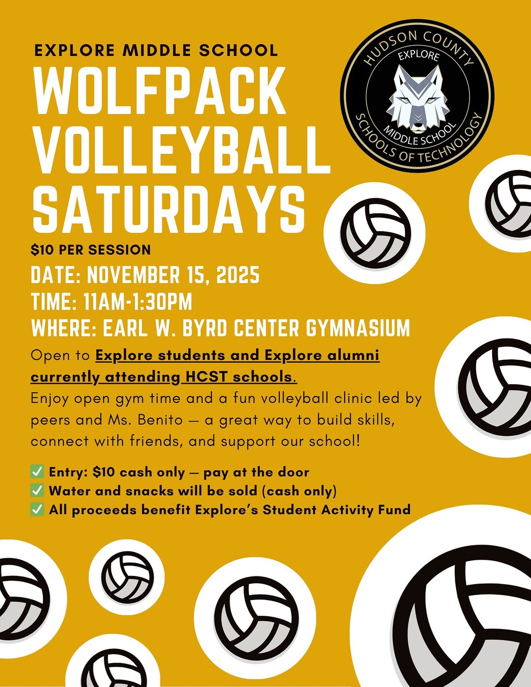 Wolfpack Volleyball Saturdays!