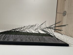 MoMA Field Trip: Learning Through Observation & Analysis