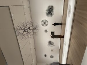 MoMA Field Trip: Learning Through Observation & Analysis