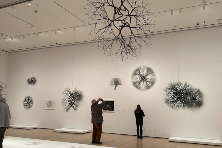 MoMA Field Trip: Learning Through Observation & Analysis